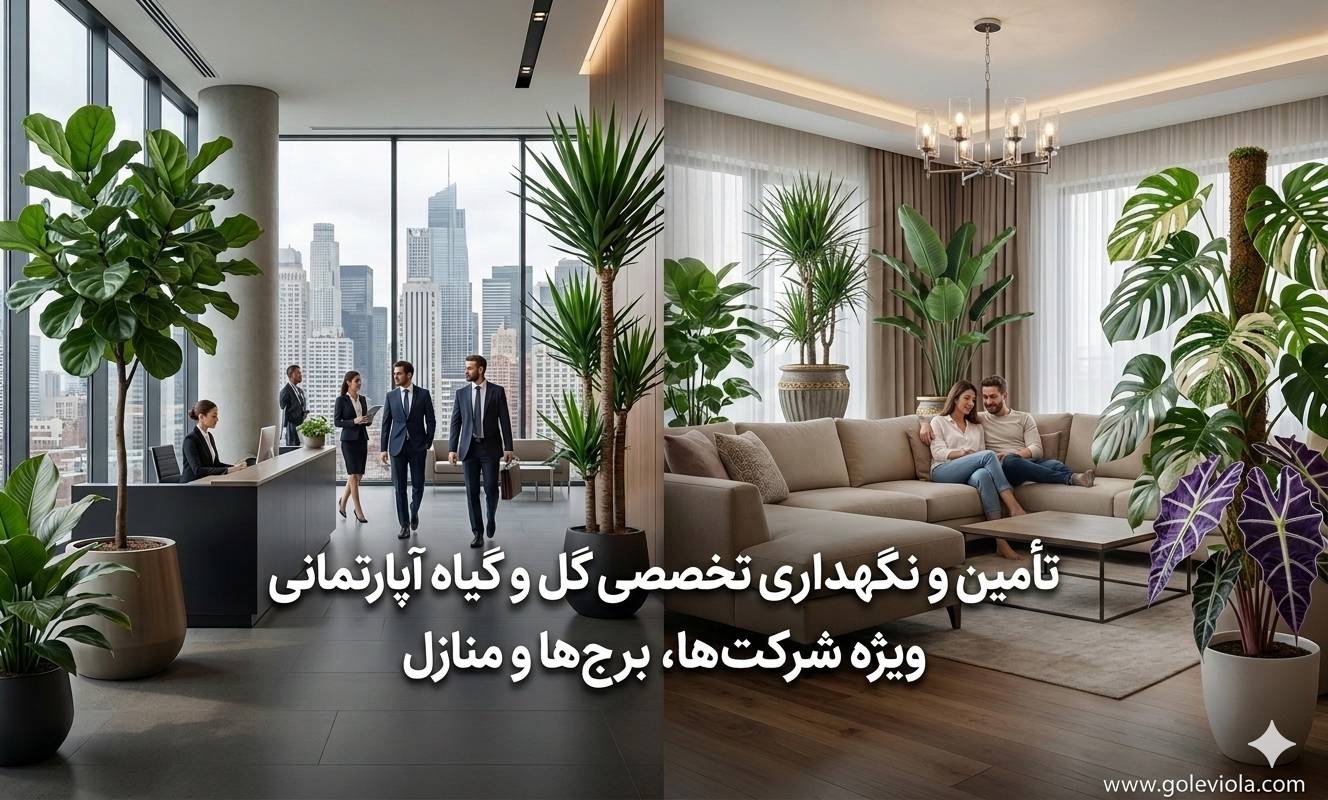 خدمات تأمین و نگهداری گل و گیاهان آپارتمانی